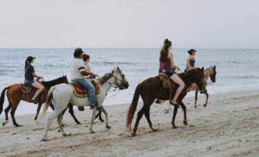 Horse Back Riding