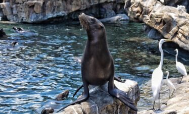 Ocean World